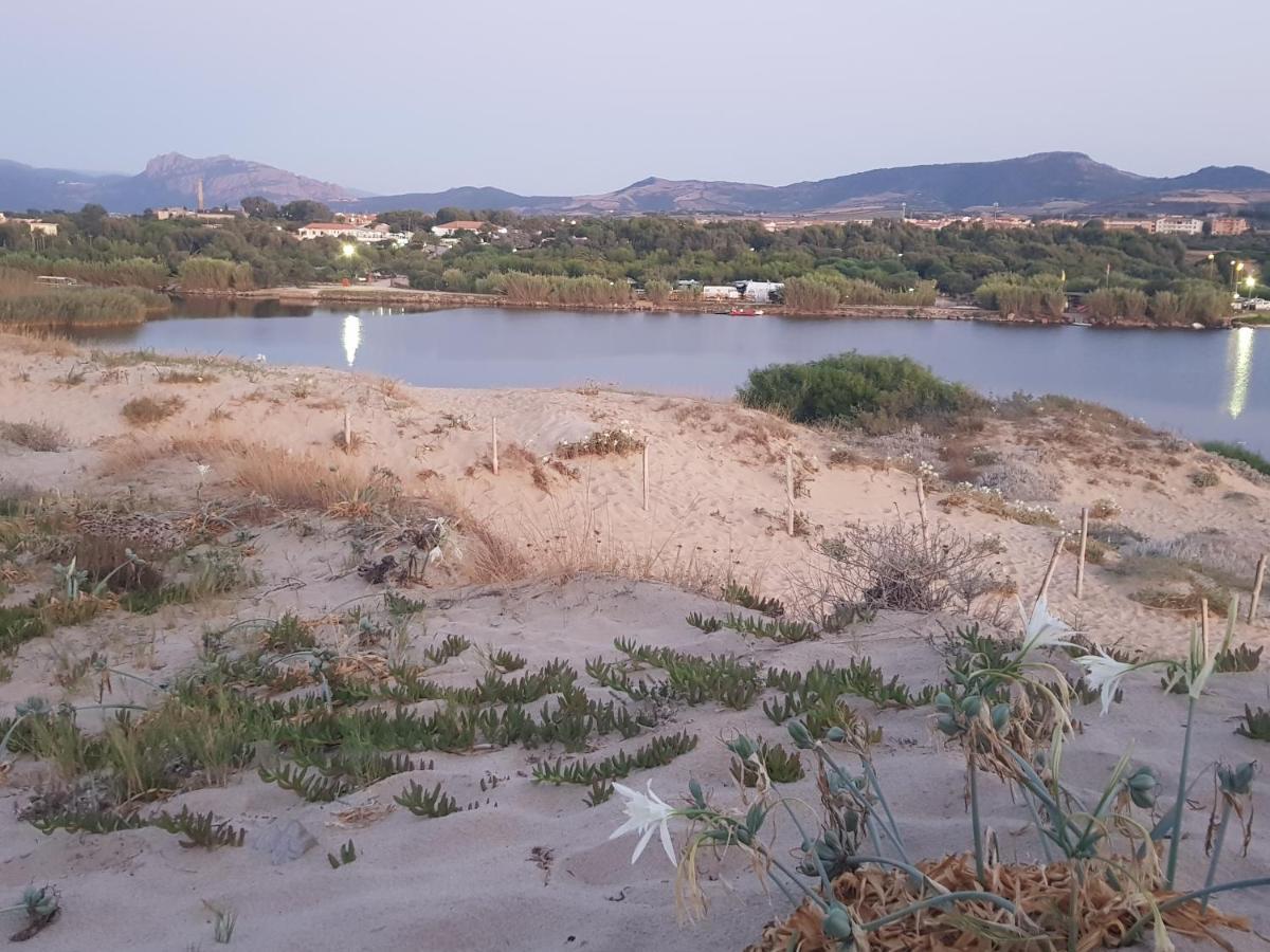 Sardinia Imagination - S M Coghinas T43 Lejlighed Pedrumalu Eksteriør billede